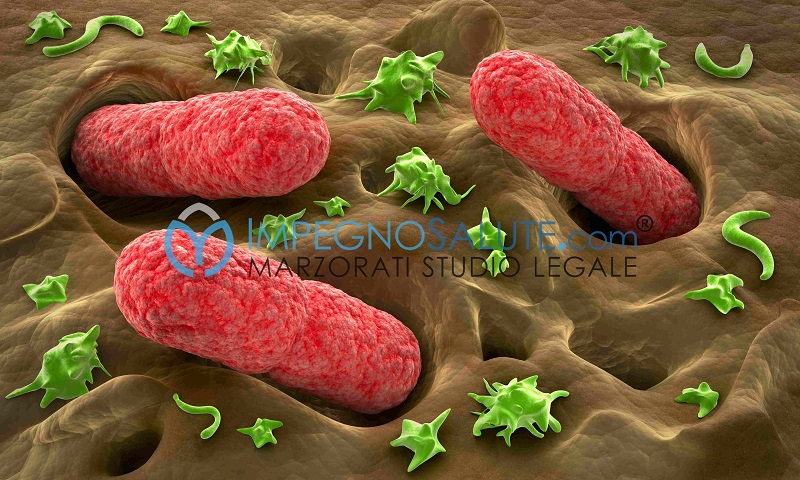 Escherichiacoli batteri