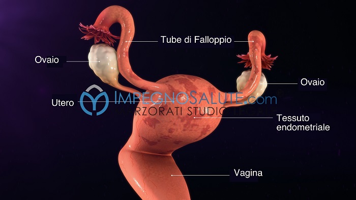 Tessuto endometriale