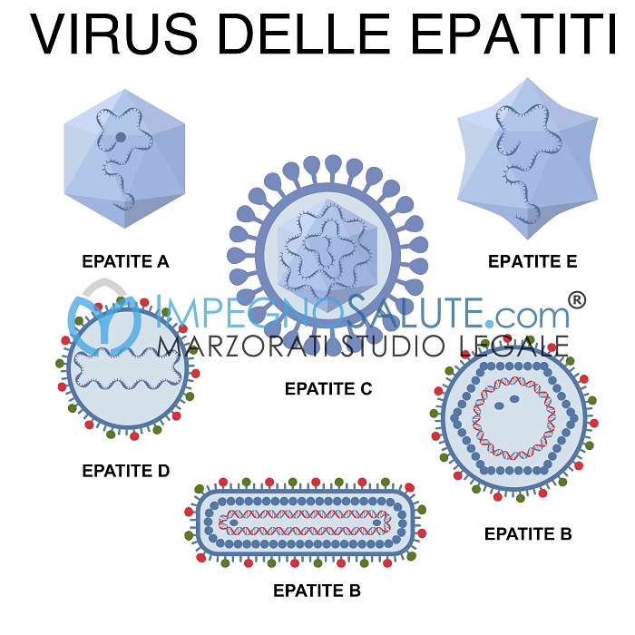 Virus epatite